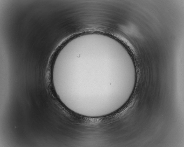 X0000093480878200710120953