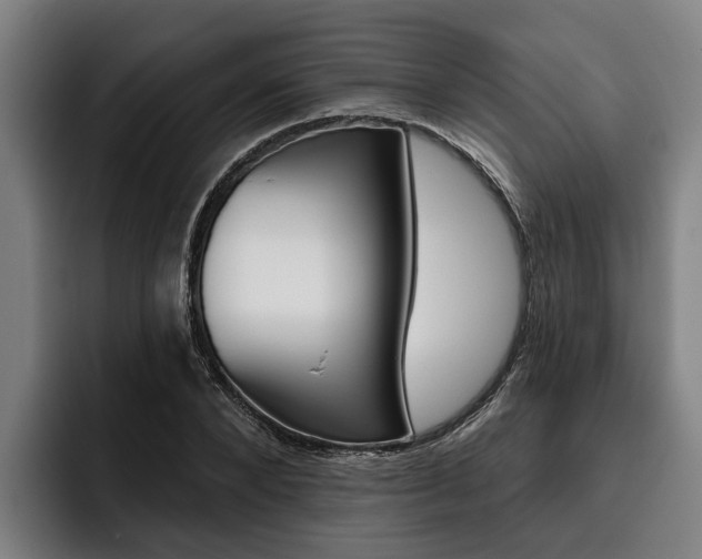 X0000093480880200710120953