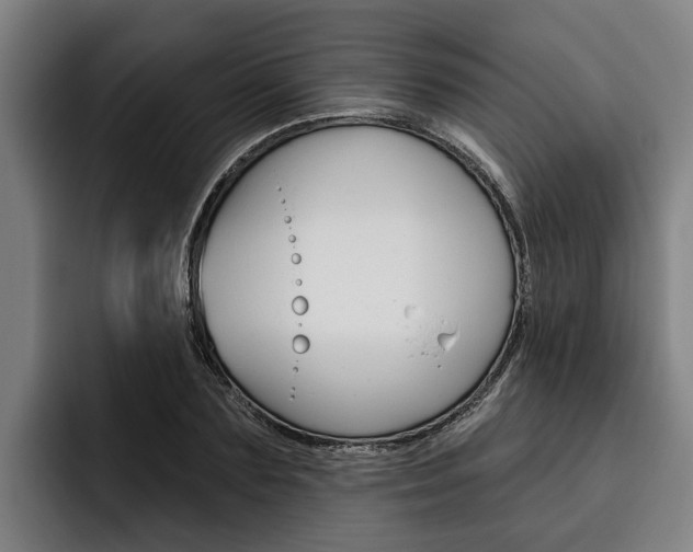 X0000093480883200710120953