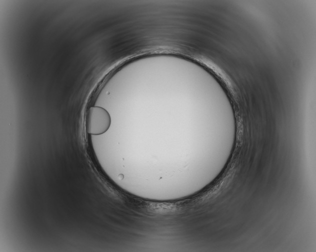 X0000093480886200710120952