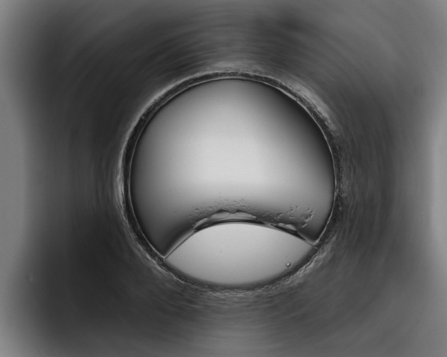 X0000093480888200710120952