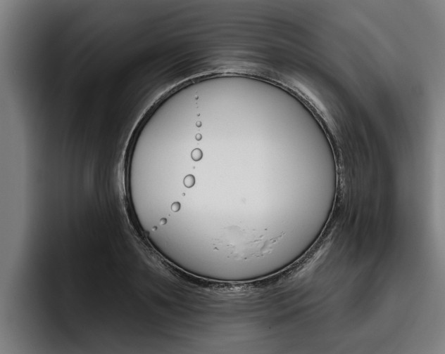 X0000093480891200710120952