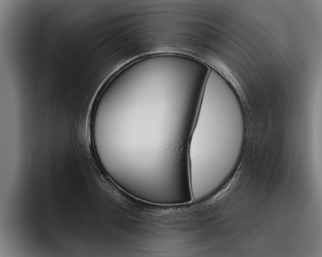 X0000093480892200710120952