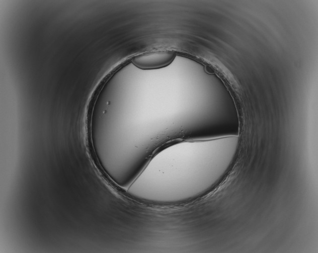 X0000093480894200710120952