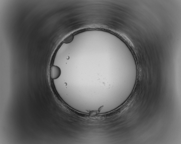 X0000093480895200710120952