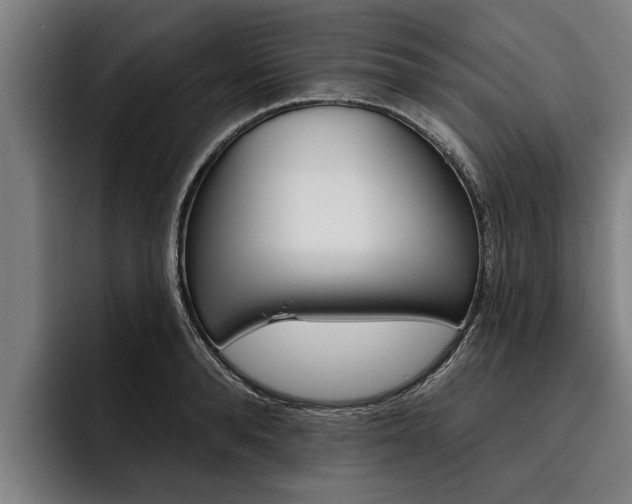 X0000093480896200710120952