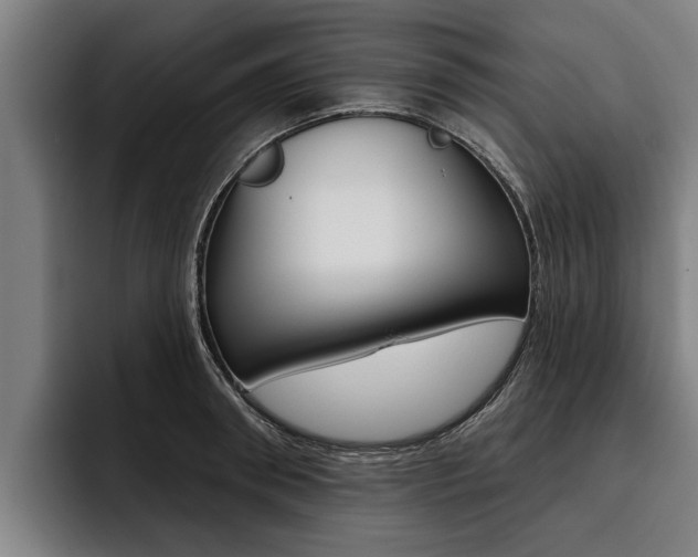 X0000093480898200710120952
