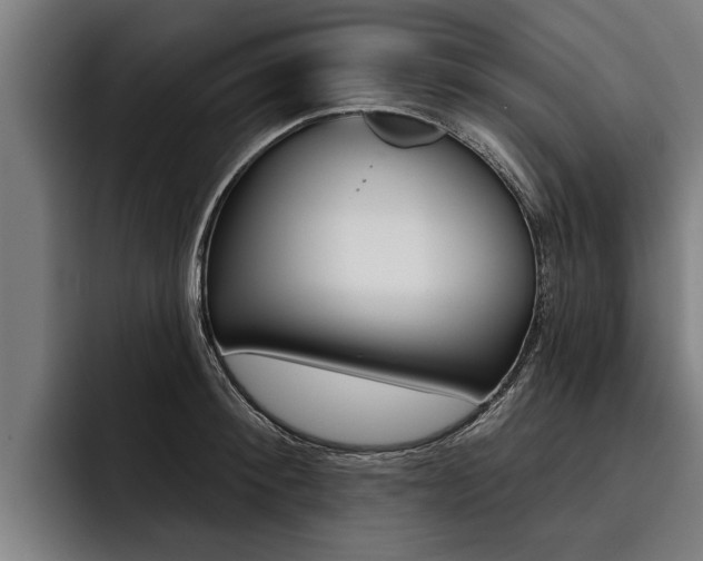 X0000093480900200710120952