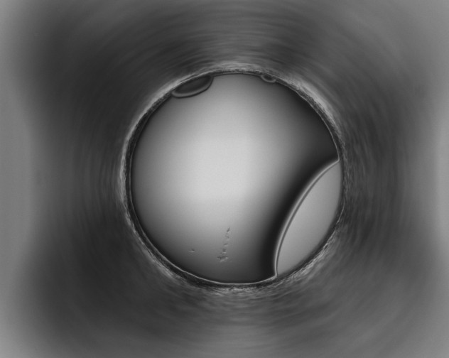 X0000093480902200710120952
