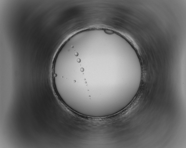 X0000093480903200710120952