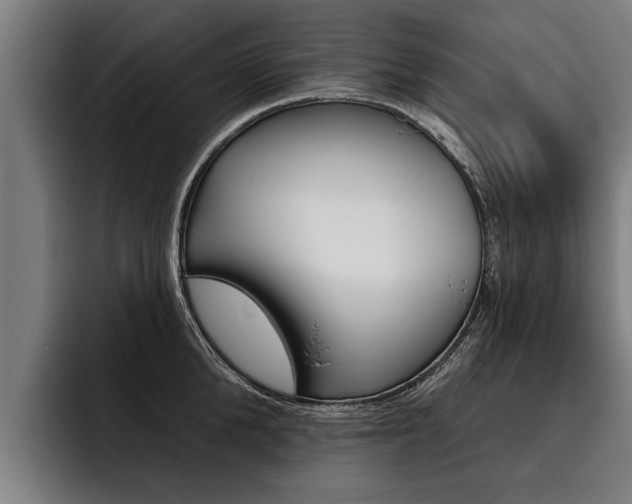 X0000093480904200710120952