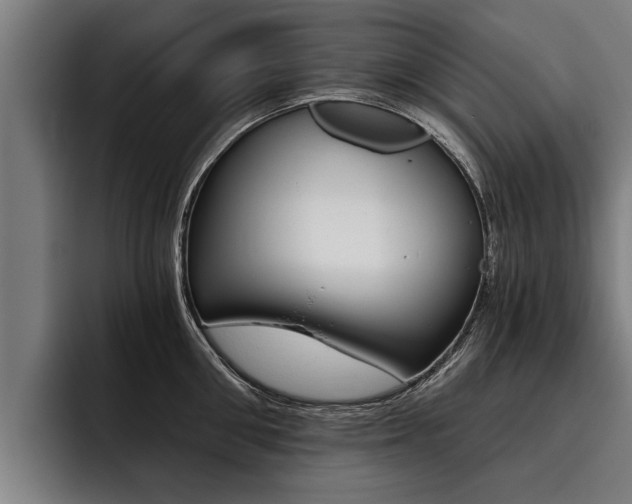 X0000093480906200710120952