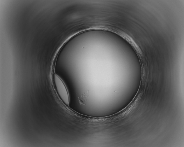 X0000093480908200710120952