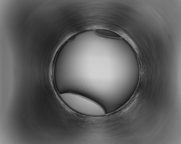 X0000093480909200710120952
