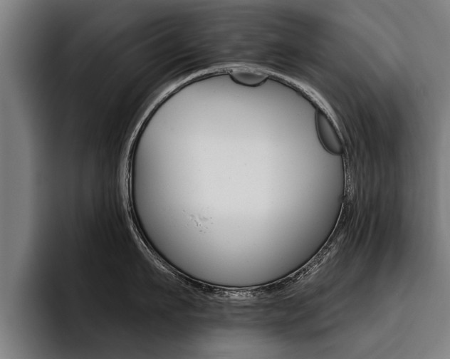 X0000093480911200710120952