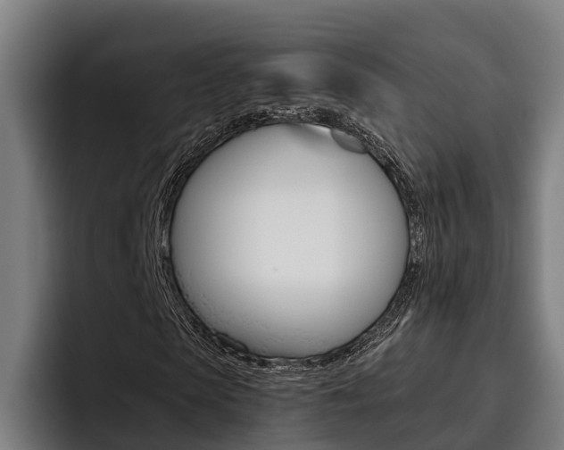X0000093480913200710120952