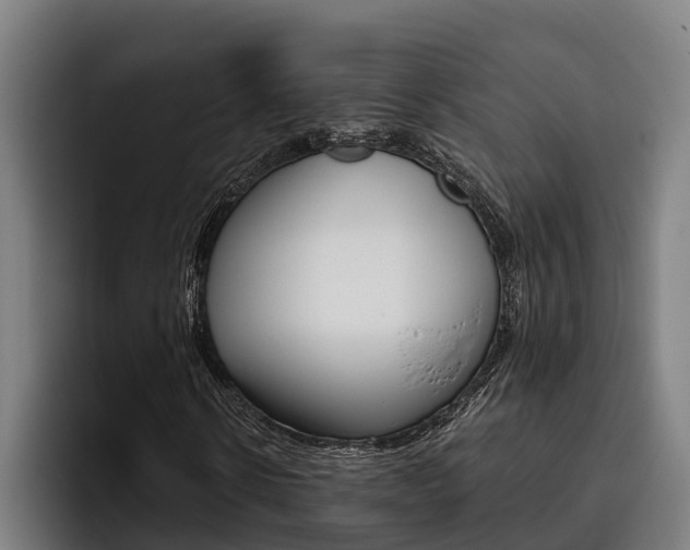 X0000093480914200710120952