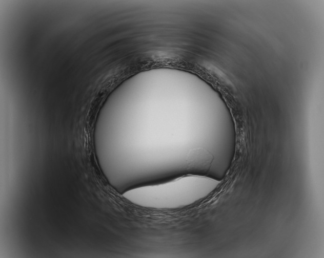 X0000093480917200710120952