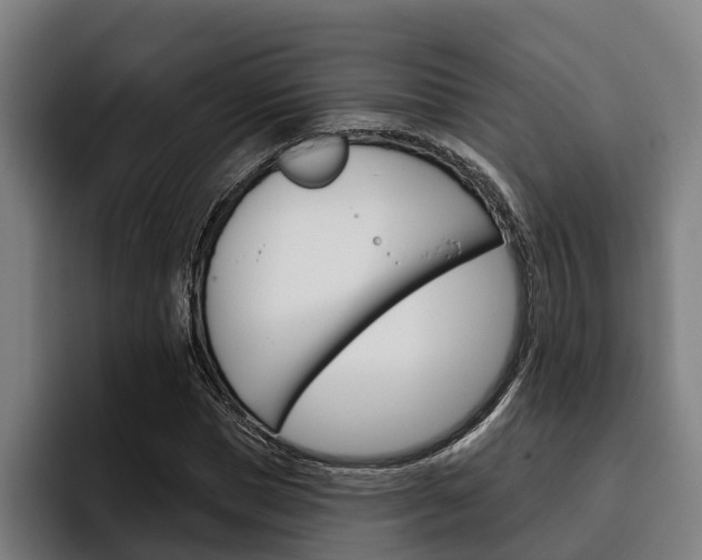 X0000093480921200710120952