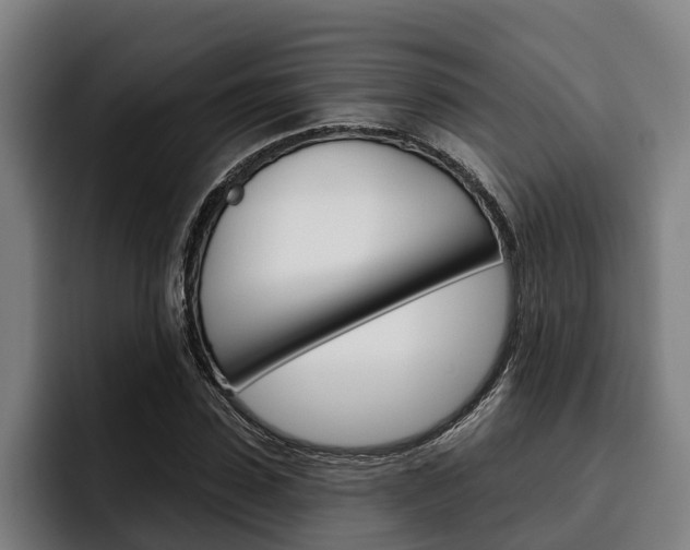 X0000093480923200710120952