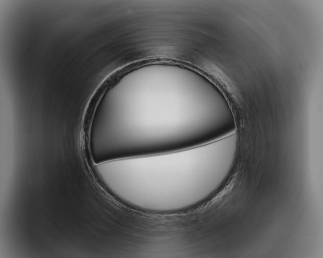X0000093480924200710120952