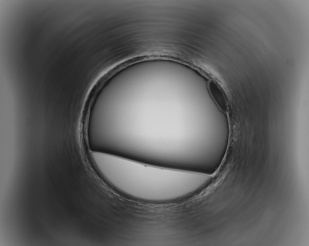 X0000093480928200710120952