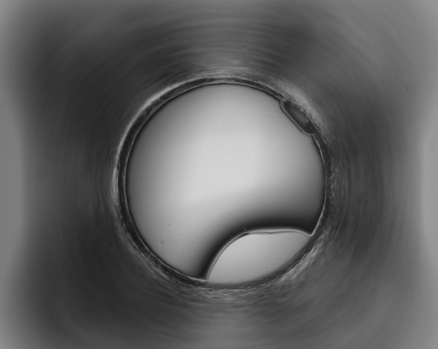 X0000093480932200710120952