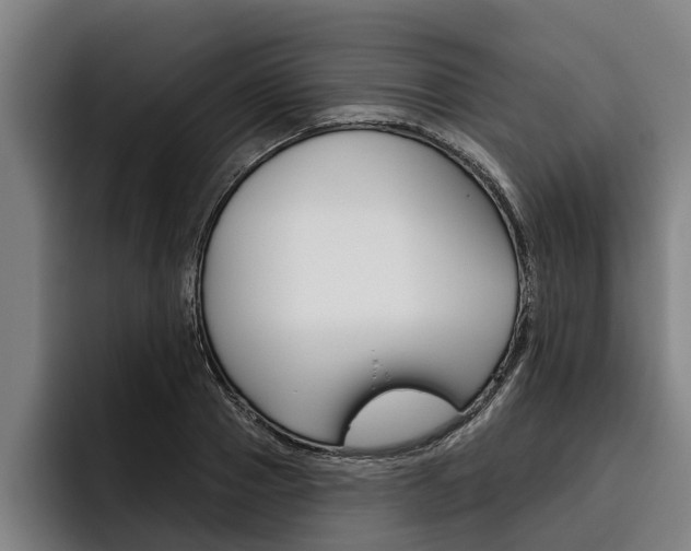 X0000093480937200710120952