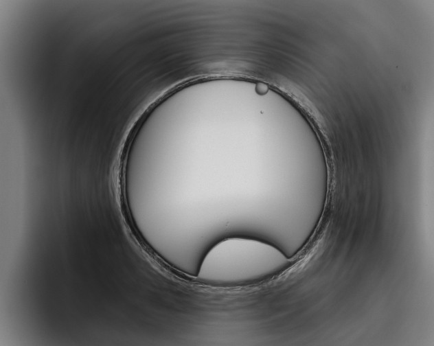 X0000093480941200710120952