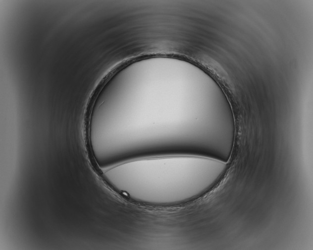 X0000093480942200710120952