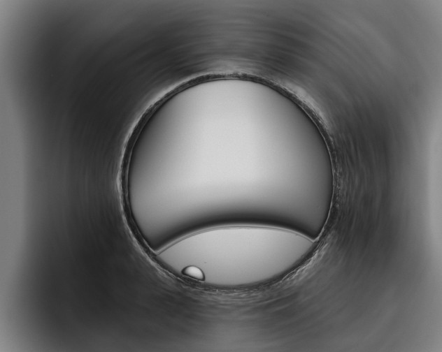 X0000093480943200710120952