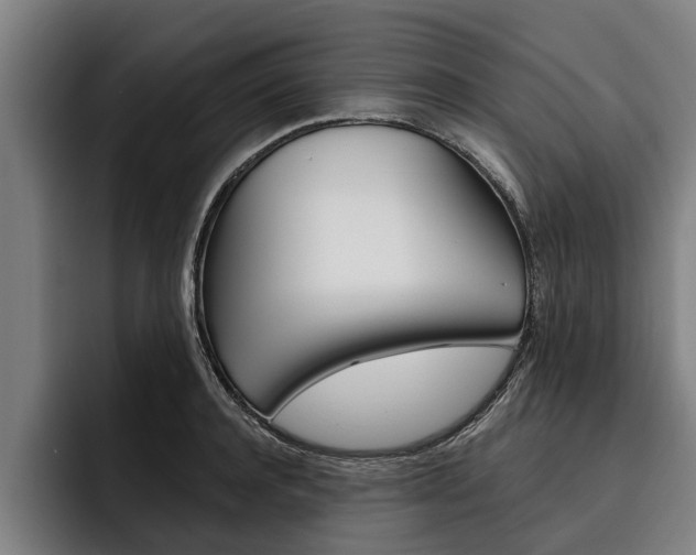 X0000093480944200710120952