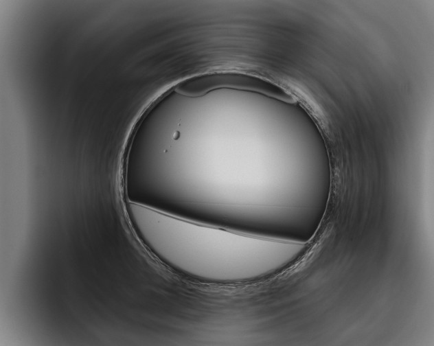 X0000093480948200710120952