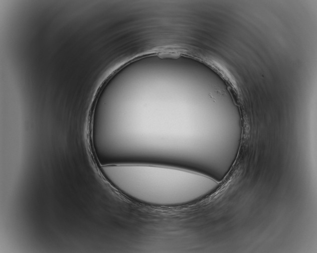 X0000093480952200710120952