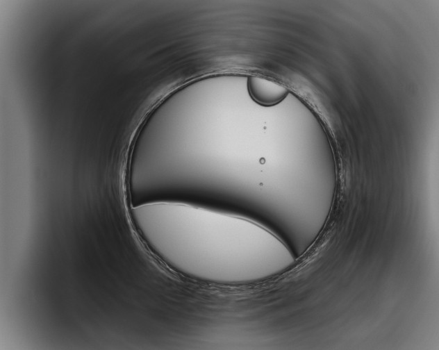 X0000093480954200710120952