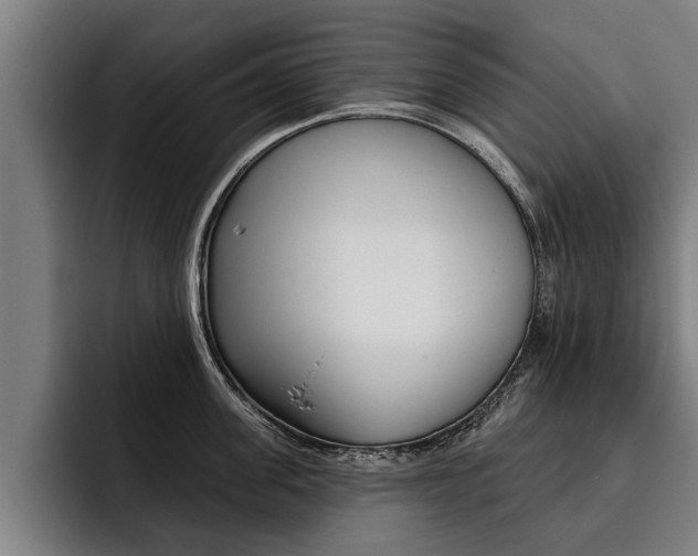 X0000093480955200710120952