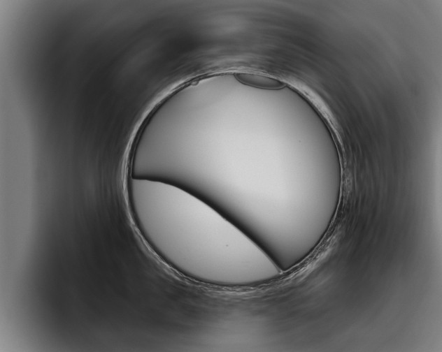 X0000093480957200710120952