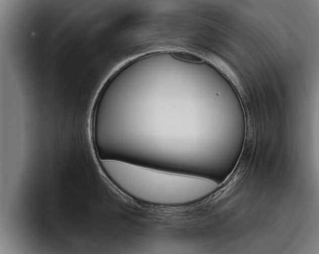 X0000093480958200710120952