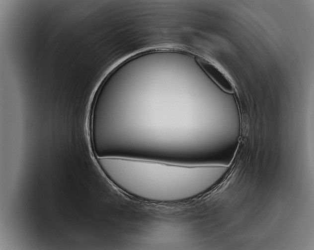 X0000093480959200710120952