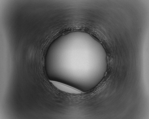 X0000093480961200710120952