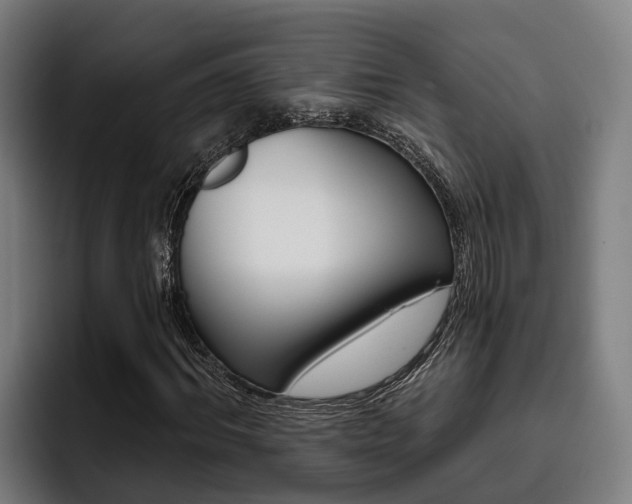 X0000093480964200710120952