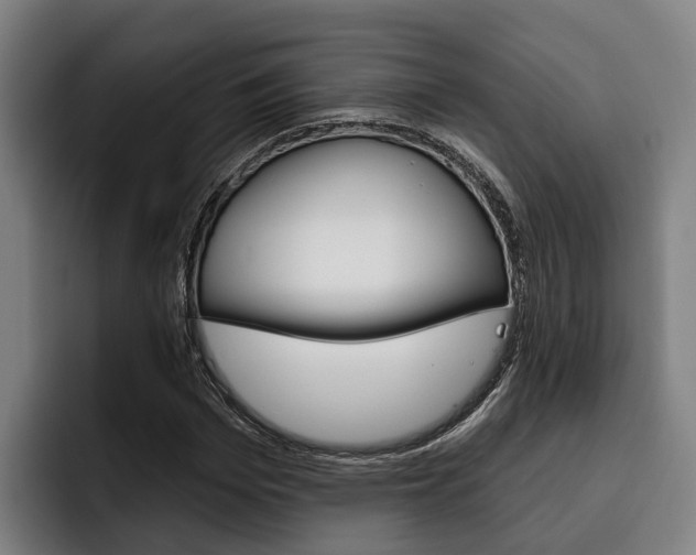 X0000093480969200710120951