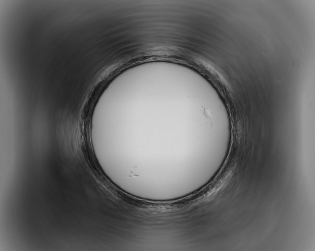 X0000093480970200710120951