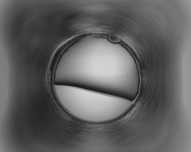 X0000093480971200710120951