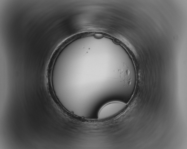 X0000093480972200710120951