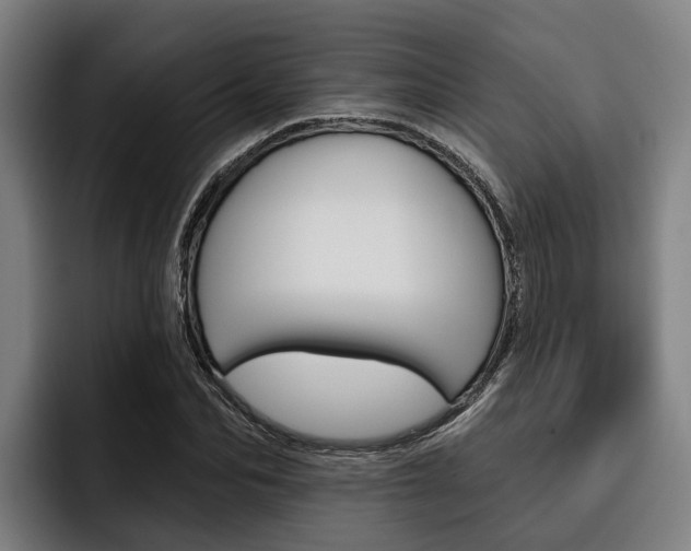 X0000093480974200710120951