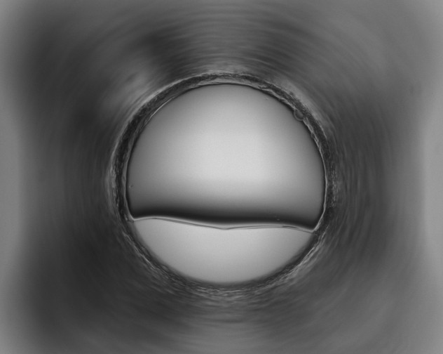 X0000093480975200710120951