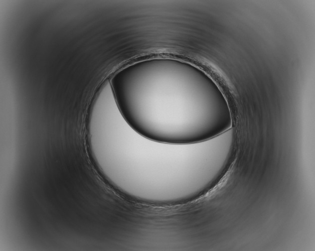 X0000093480977200710120951