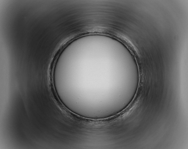 X0000093480978200710120951