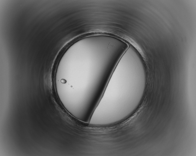 X0000093480980200710120951